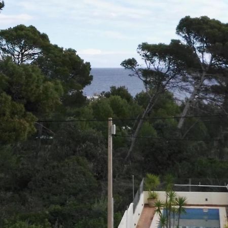 Dream House Βίλα Cala Ratjada  Εξωτερικό φωτογραφία