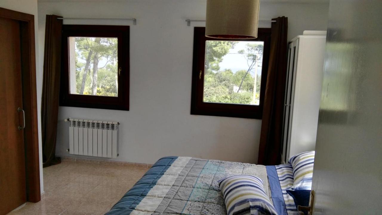 Dream House Βίλα Cala Ratjada  Εξωτερικό φωτογραφία